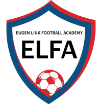ELFA Fotbalová Akademie - Další web používající WordPress